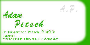 adam pitsch business card